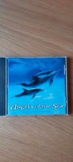 Solitudes, Anges de la mer de Dan Gibson, CD & DVD, Comme neuf, Enlèvement ou Envoi