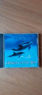Solitudes, Anges de la mer de Dan Gibson, CD & DVD, CD | Autres CD, Comme neuf, Enlèvement ou Envoi