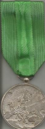 Europese medaille van de federatie van geallieerde strijders, Verzamelen, Ophalen of Verzenden, Landmacht, Lintje, Medaille of Wings