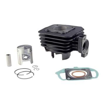 cilinder ludix / vivacity 3 / kisbee 2t / speedfight 3 nieuw beschikbaar voor biedingen