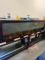 AQUARIUM, Dieren en Toebehoren, Ophalen, Gebruikt, Gevuld zeewateraquarium