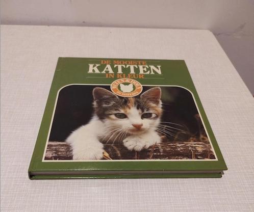 2 boeken over katten, Boeken, Dieren en Huisdieren, Gelezen, Katten, Ophalen