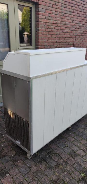 Mobiele ijs scheptoog vriezer horeca 2 vriesvakken 40liter beschikbaar voor biedingen