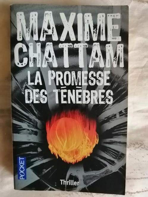 La Promesse des Ténèbres de Maxime Chattam, Livres, Romans, Enlèvement ou Envoi