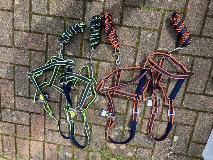 Halster full geel/groen of oranje incl touw, Dieren en Toebehoren, Paarden en Pony's | Hoofdstellen en Tuigage, Nieuw, Ophalen