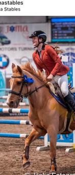 Spring pony, Dieren en Toebehoren, Pony's, Merrie, D pony (1.37m tot 1.48m), Springpony, 11 jaar of ouder