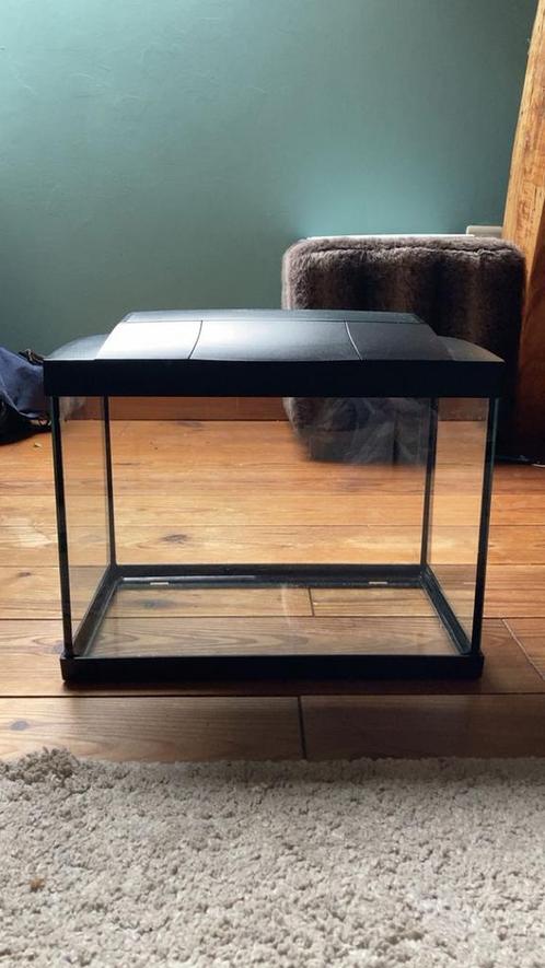 Superfish aquarium 36x26x22 cm met pomp en lamp, Dieren en Toebehoren, Vissen | Aquaria en Toebehoren, Gebruikt, Leeg aquarium