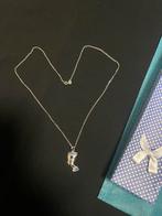 Zilver 925 ketting met Nefertiti 50 cm nieuw, Ophalen of Verzenden, Zilver