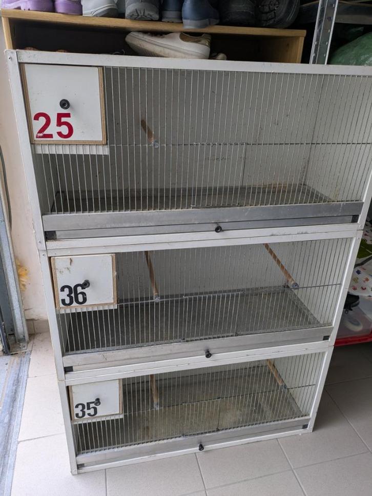 3x kweekkooi, Dieren en Toebehoren, Vogels | Hokken en Kooien, Zo goed als nieuw, Broedkooi of Kweekkooi, Hout, Ophalen