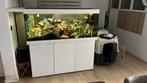 Juwel 450 cicliden aquarium, Dieren en Toebehoren, Vissen | Aquaria en Toebehoren, Ophalen, Zo goed als nieuw, Gevuld zoetwateraquarium