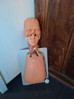 Oude reanimatiepop, Hobby en Vrije tijd, Cursusmateriaal, Ophalen, Zo goed als nieuw