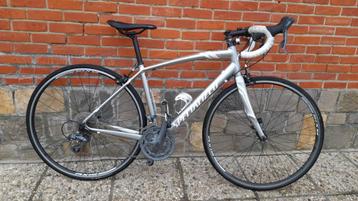 Specialized, taille 54 cm