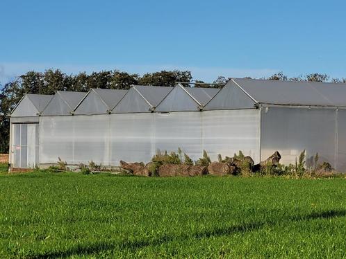 tuinbouw serre (afgebroken aangeboden ), Zakelijke goederen, Landbouw | Aardappelen, Groenten, Fruit en Vlees, Ophalen
