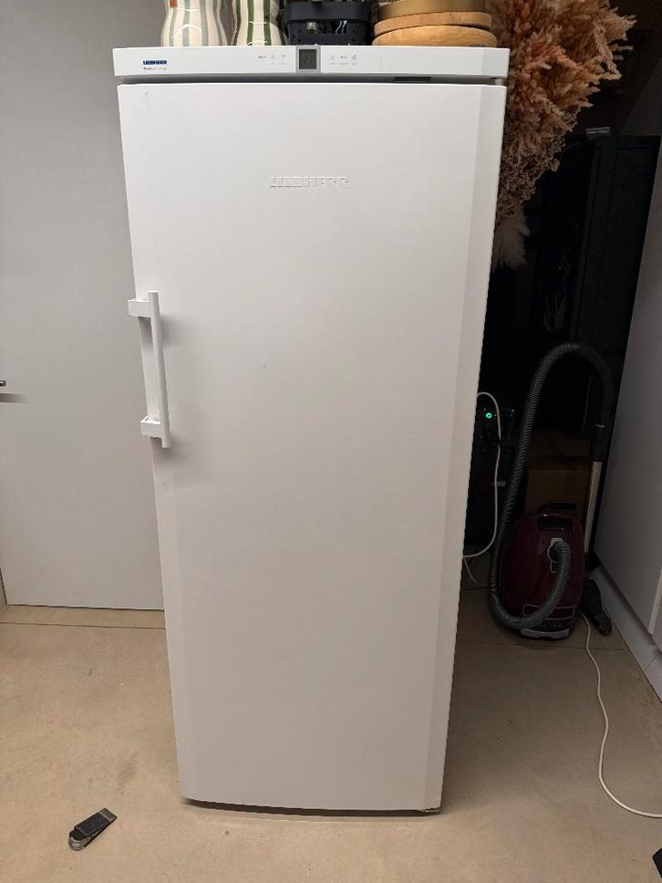 Liebherr diepvrieskast NoFrost 299L, Electroménager, Congélateurs, Comme neuf, Autoportant, Congélateur, Congélateur, 160 cm ou plus