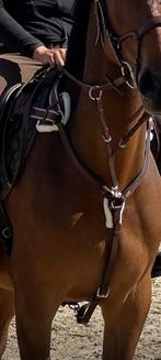 Borsttuig QHP, Dieren en Toebehoren, Paarden en Pony's | Hoofdstellen en Tuigage, Ophalen of Verzenden, Zo goed als nieuw