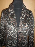 Nieuwe jas Trend One / Maat M, Kleding | Dames, Jassen | Winter, Trend One, Ophalen of Verzenden, Nieuw, Maat 38/40 (M)