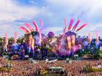 Tomorrowland 2024, Tickets en Kaartjes, Evenementen en Festivals, Eén persoon