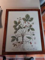 kader met print, Huis en Inrichting, Ophalen, Print