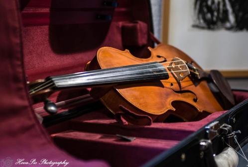 verhuur strijkinstrumenten, Musique & Instruments, Instruments à cordes frottées | Violons & Altos, Comme neuf, Violon, Autres formats
