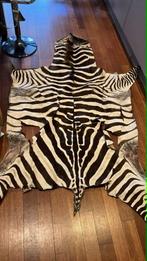 Zebrahuid, Ophalen, Gebruikt