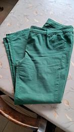 groene broek mt 48/50 zie tekst opgemeten maten, Vêtements | Femmes, Culottes & Pantalons, Vert, Pippa, Porté, Taille 46/48 (XL) ou plus grande