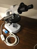 Zeis standaard microscoop, Audio, Tv en Foto, Optische apparatuur | Microscopen, Ophalen, Gebruikt, Biologische microscoop