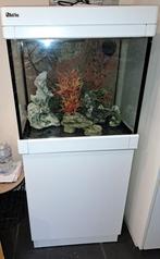 Aquarium plug en play, Dieren en Toebehoren, Ophalen, Zo goed als nieuw