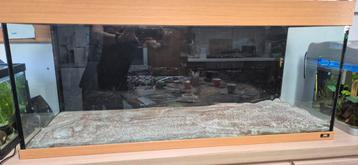 Aquariun 240l met kast, Dieren en Toebehoren, Ophalen, Zo goed als nieuw