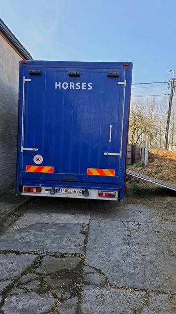 Vrachtwagen voor paarden, Particulier, Te koop, DAF