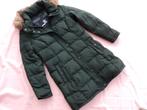Maat L -- Tommy Hilfiger winterjas, Tommy hilfiger, Zo goed als nieuw, Groen, Ophalen