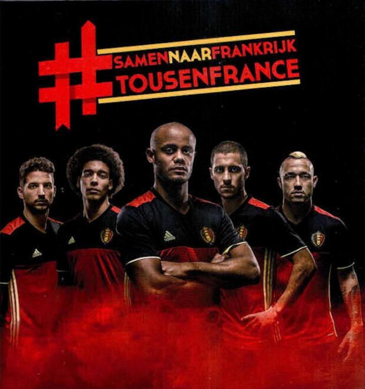 RUILEN Panini carrefour Samen naar Frankrijk, Hobby en Vrije tijd, Stickers en Plaatjes, Zo goed als nieuw, Meerdere stickers