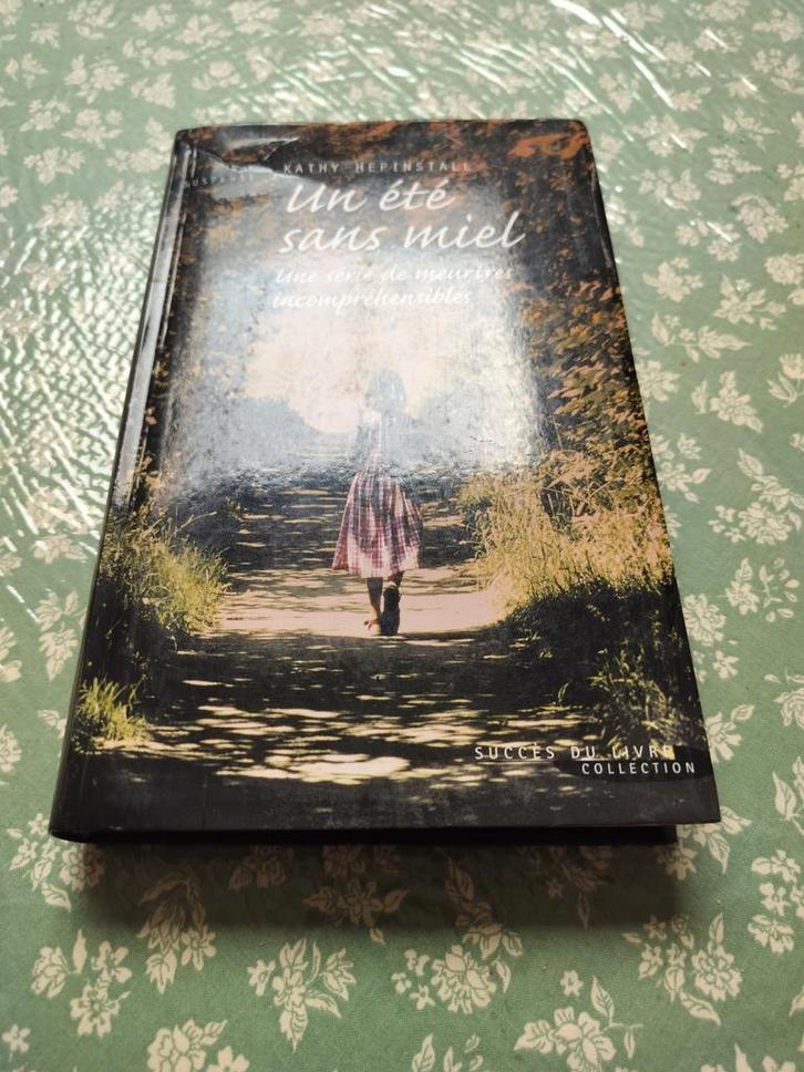 Livre 2€ pièce, Boeken, Romans, Gelezen, Ophalen of Verzenden