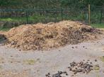 Paarden mest gratis., Ophalen, Mest