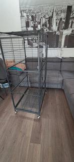Metalen kooi voor knaagdieren, bieden mag, Ophalen, Zo goed als nieuw, Kooi