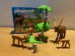 Playmobil Bos, Ophalen, Zo goed als nieuw, Complete set
