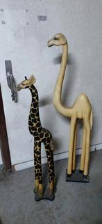 Giraf en dromedaris, Ophalen