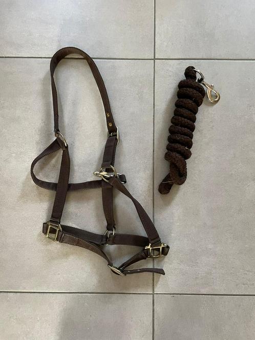 Halster set, Dieren en Toebehoren, Paarden en Pony's | Hoofdstellen en Tuigage, Zo goed als nieuw, Ophalen