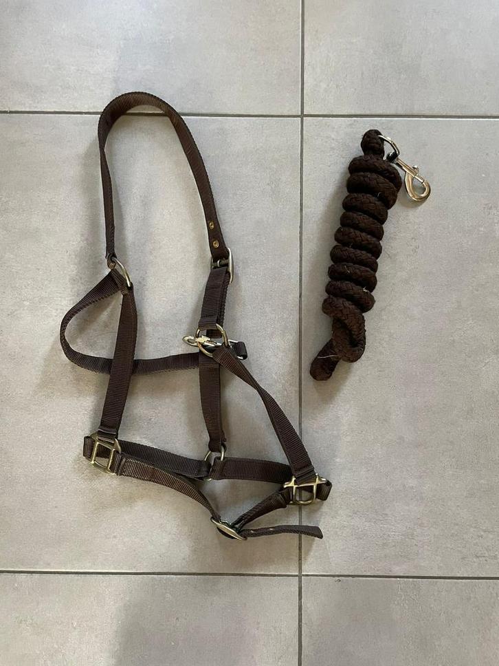 Halster set, Dieren en Toebehoren, Paarden en Pony's | Hoofdstellen en Tuigage, Zo goed als nieuw, Ophalen