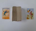 Piatnik dubbelkaartspel Hummingbird and Birds of Paradise, Gebruikt, Ophalen of Verzenden, Speelkaart(en)