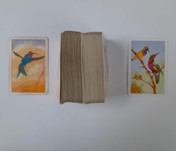 Piatnik double jeu de cartes Colibri et oiseaux du paradis