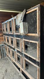 Konijnenhokken, Niche, Enlèvement, Utilisé, 110 cm ou plus