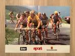 Poster Wielrennen Laurent Fignon Tourwinnaar 1983, Verzamelen, Ophalen of Verzenden, Zo goed als nieuw, Poster, Plaatje of Sticker