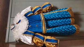 Carnaval kostuum uit stoet aalst 2025 beschikbaar voor biedingen