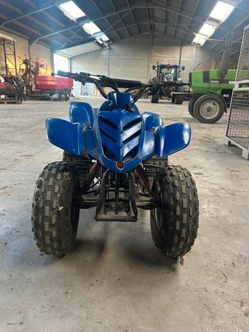 Kinderquad, Motoren, Quads en Trikes
