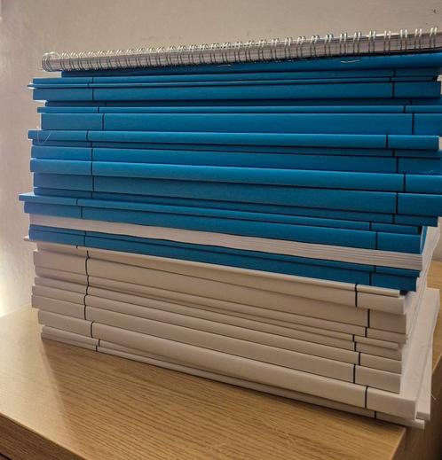 vakbekwaamheid examen, Boeken, Vervoer en Transport, Nieuw, Ophalen of Verzenden