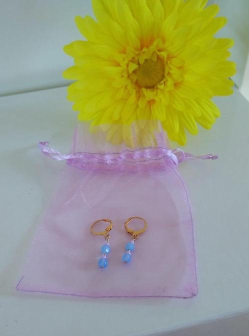 nieuw  schattige oorbellen met 2 blauwe pareltjes, Handtassen en Accessoires, Oorbellen, Nieuw, Hangers, Overige materialen, Blauw