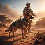 CHERCHE TENUE MILITAIRE., Enlèvement ou Envoi