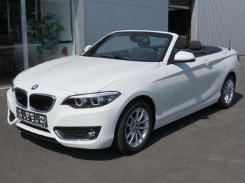 BMW 2 Serie 218 Cabrio 218i Alu - PDC - Airco (bj 2018) beschikbaar voor biedingen