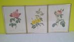 P.J.Redouté : ensemble de 3 lithographies de roses, Enlèvement ou Envoi