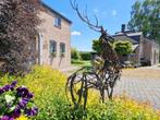 Ardennen : eigendom met 2 vrijstaande woningen, zwembad ..., 58 kWh/m²/jaar, Provincie Namen, Vrijstaande woning, 9 kamers